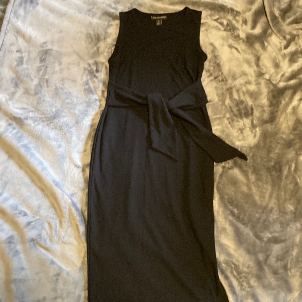 A Pea in the Pod Maternity Dress S
